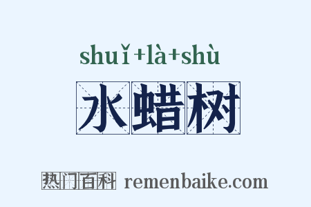 水蜡树是什么意思的图片